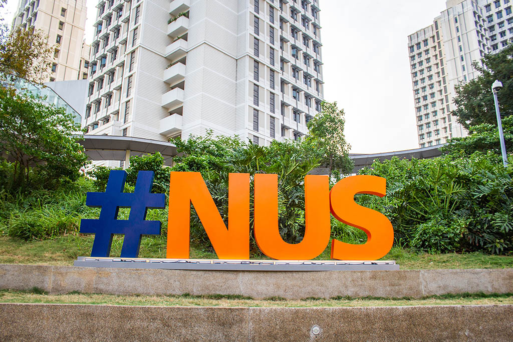 NUS Town Green