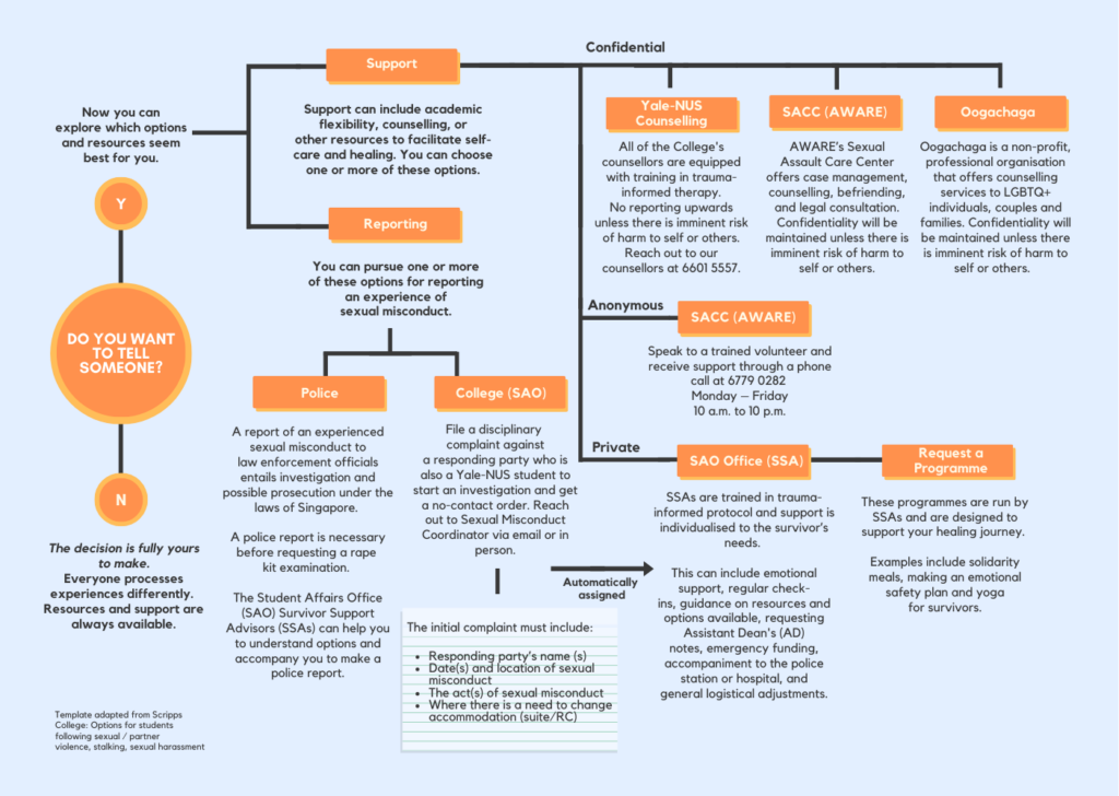 A flowchart that details the different supports that are available for survivors, such as the support resources on and off campus and reporting procedures, be it to the police or to the college.