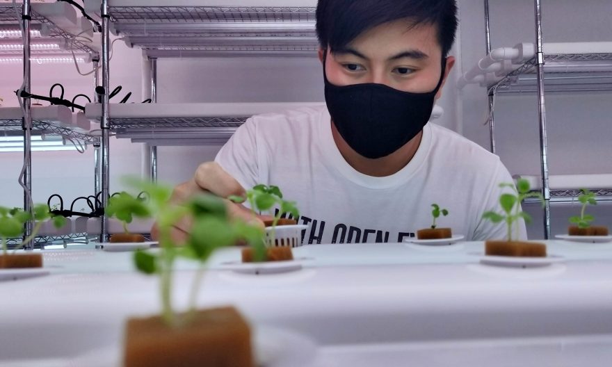 Yale-NUS students create green start-ups to tackle environmental issues