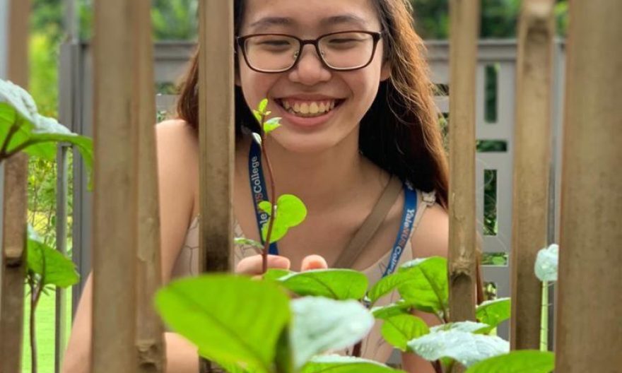 Yale-NUS students and alumni tackle food security challenges