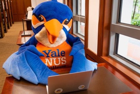 Yale-NUS e-Open House will bring the Yale-NUS experience to the virtual  world - Yale-NUS College