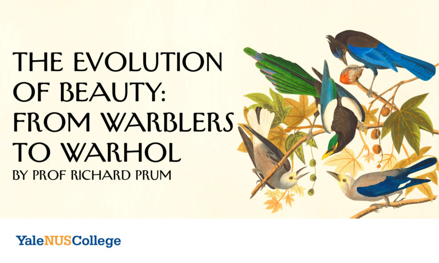 The Evolution of Beauty: From Warblers to Warhol