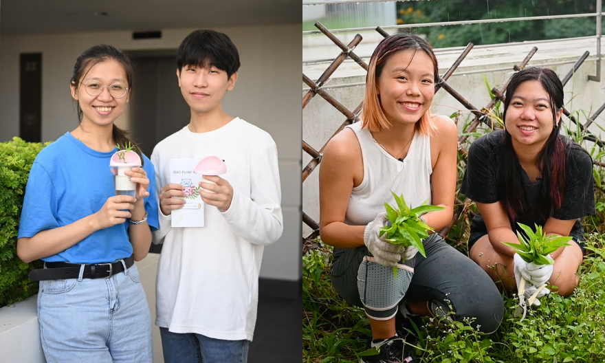 Behind the green initiatives at Yale-NUS College