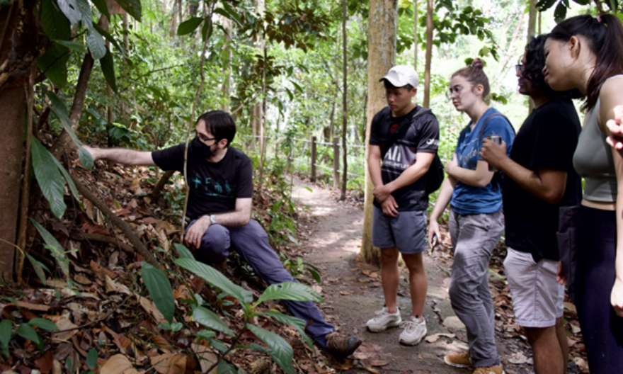 Yale-NUS students explore the social world of insects